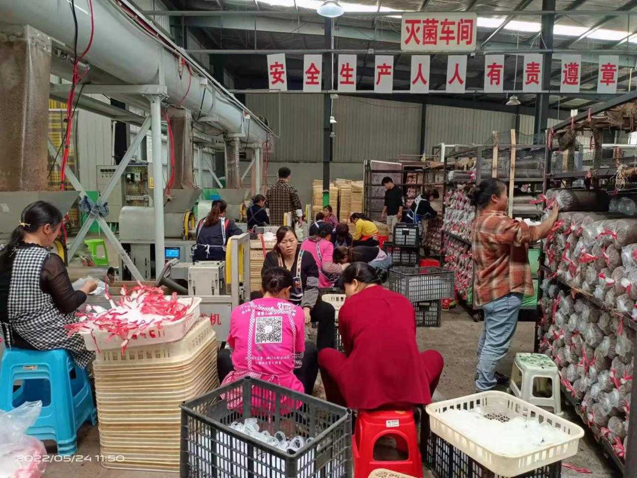 六枝特区：巩固脱贫成效∣靠前监督助力企业恢复生产